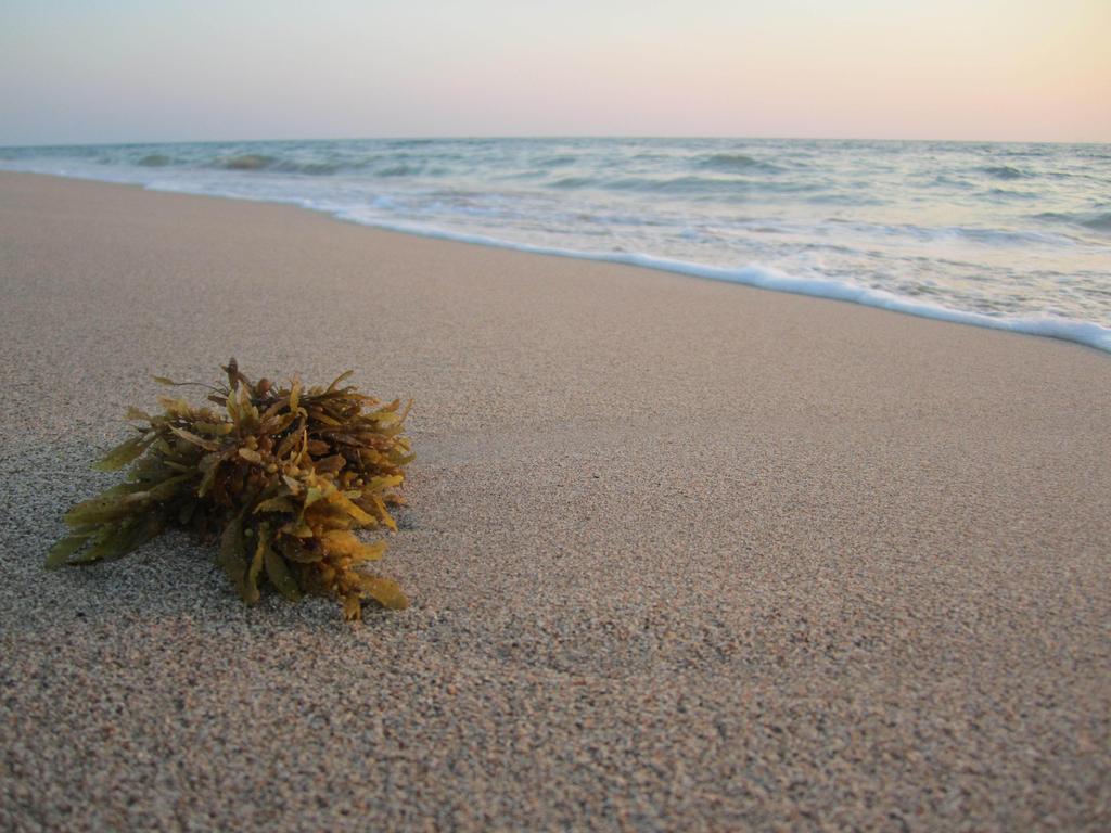ランタ イルマーレ ビーチリゾート Ko Lanta エクステリア 写真
